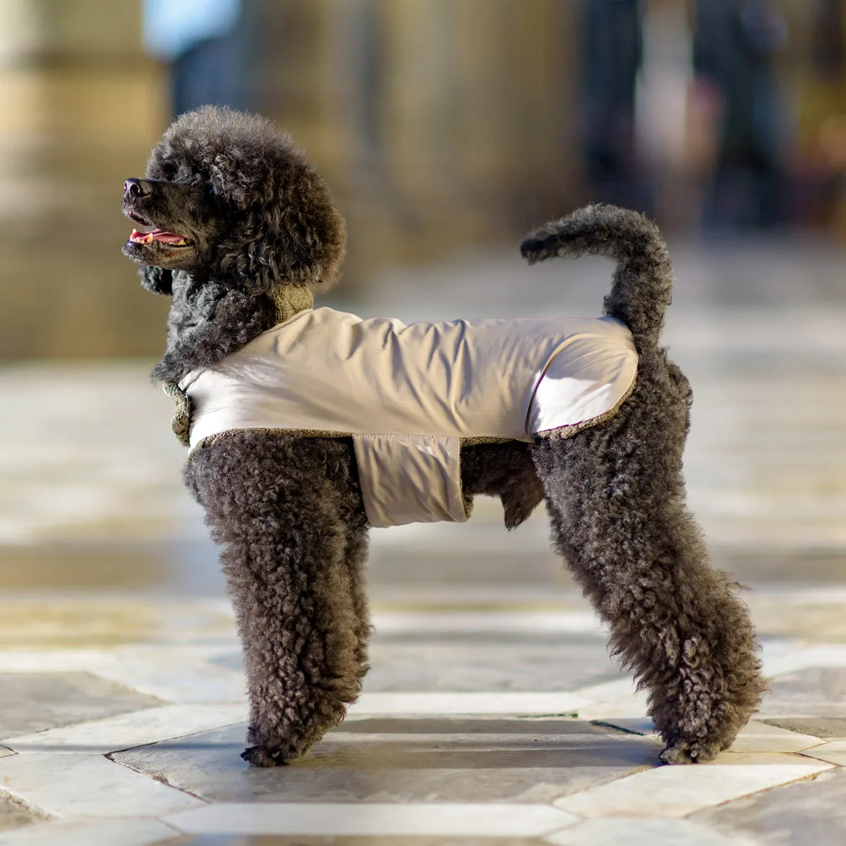 Bespoke Reversible Dog Coat/Raincoat Knit