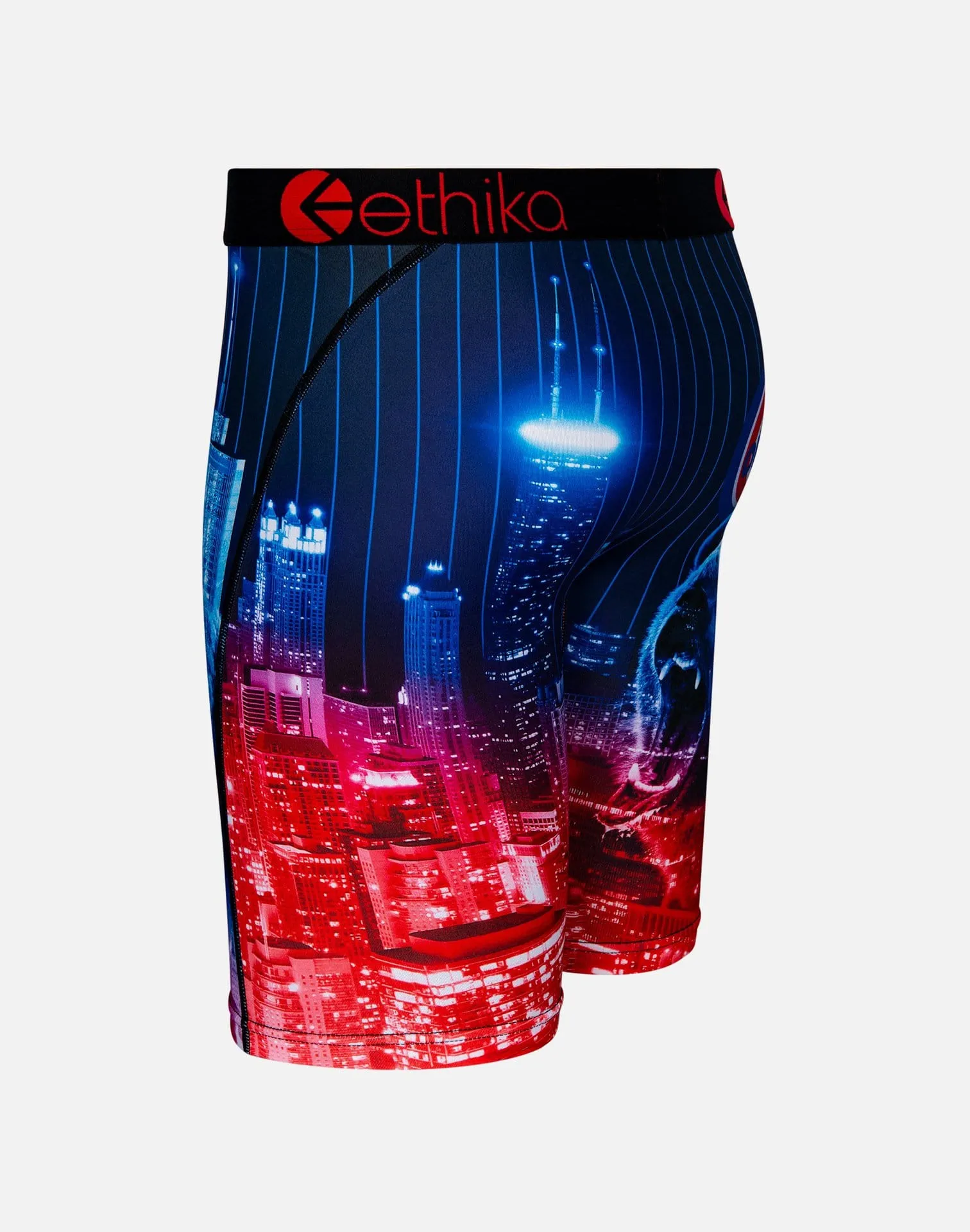 Ethika CHAZ STEEZE ORTIZ BOXER BRIEFS